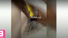 Hot amateur close up Doggy style HD video